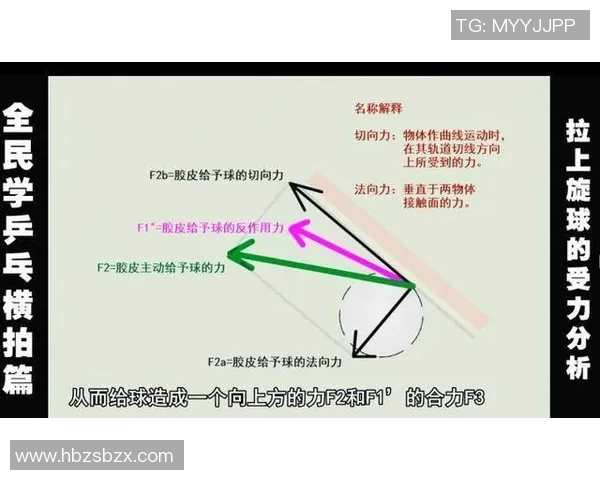 杭州乒乓球队状态分析与表现评估的全面数据研究与解读