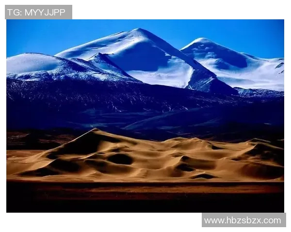 年轻人如何在迪纳摩的挑战中找到自我成长与突破的机会