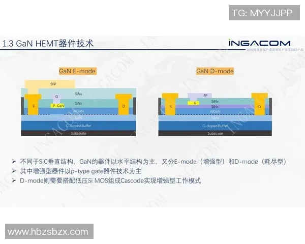 诺维奇与布城精彩对决直播全程回顾与分析